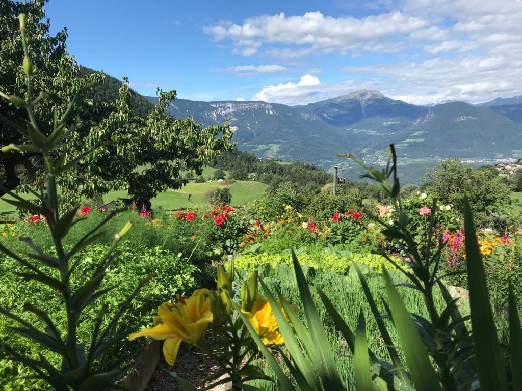 Apartamento Alpenrose Meltina Exterior foto